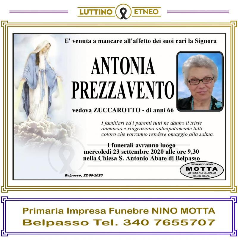 Antonia  Prezzavento 